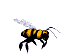 bee-animated